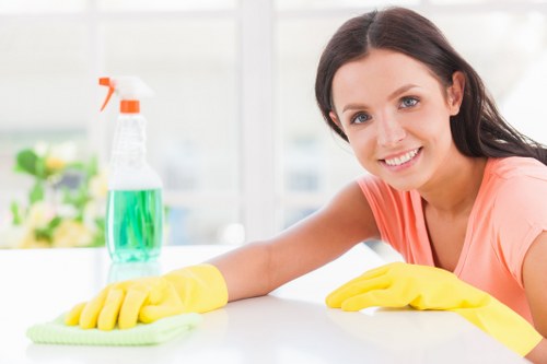 Professional carpet cleaning services by Tufnell Park Carpet Cleaners