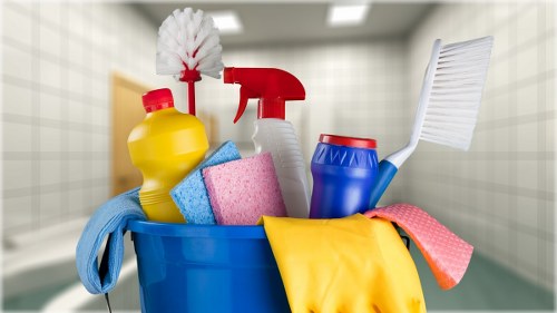 Tufnell Park Carpet Cleaning Services