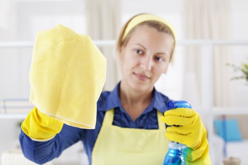 Advanced carpet cleaning equipment