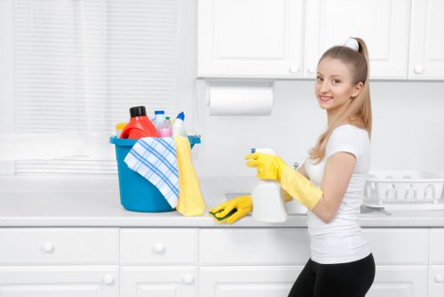 Clean and clear windows after professional cleaning