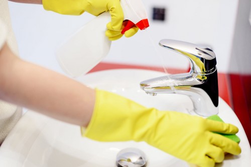 Team of experts performing oven cleaning