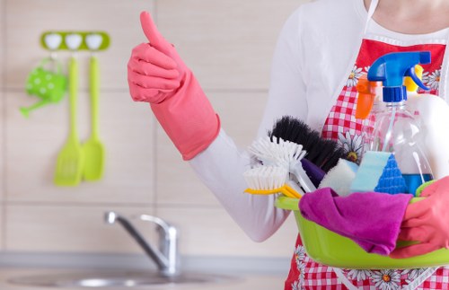 Facade cleaning tools and equipment in action