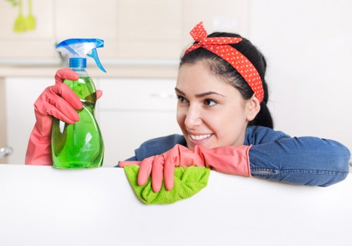 Eco-friendly window cleaning solutions in action