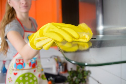 Technician using advanced cleaning equipment