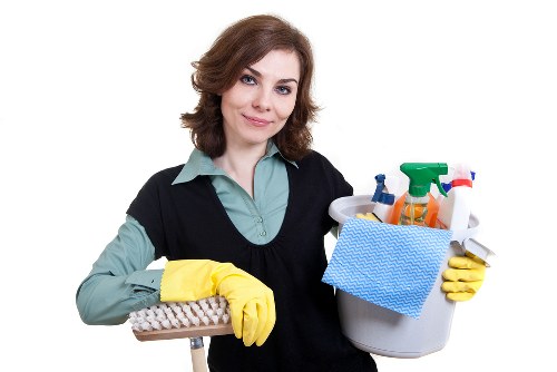 Expert technicians cleaning carpets