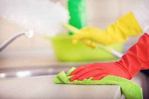 Deep carpet cleaning process by experts
